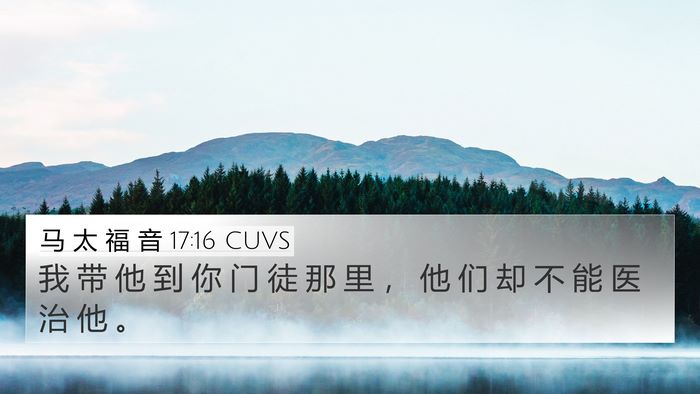 马 太 福 音 17:16 CUVS Bible Verse Image