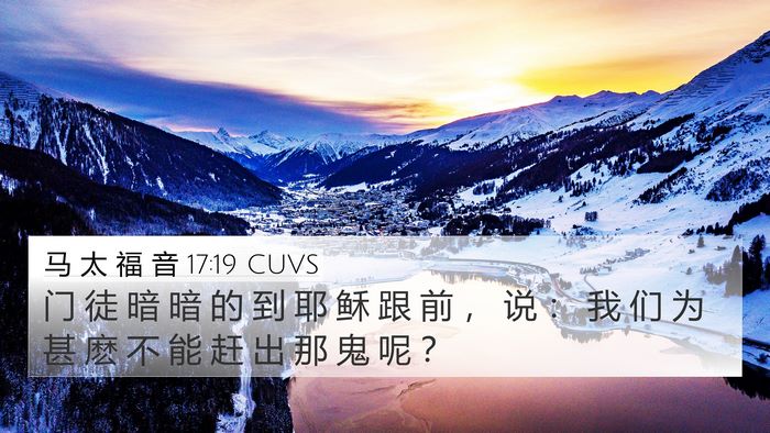马 太 福 音 17:19 CUVS Bible Verse Image