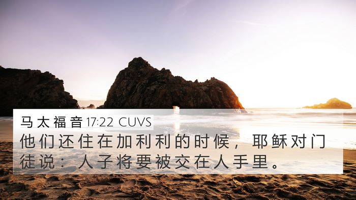 马 太 福 音 17:22 CUVS Bible Verse Image