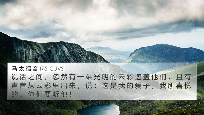 马 太 福 音 17:5 CUVS Bible Verse Image