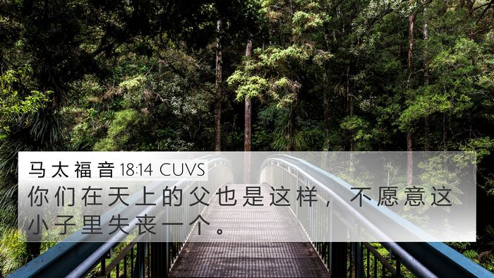 马 太 福 音 18:14 CUVS Bible Verse Image