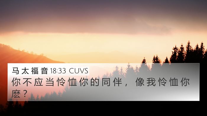 马 太 福 音 18:33 CUVS Bible Verse Image