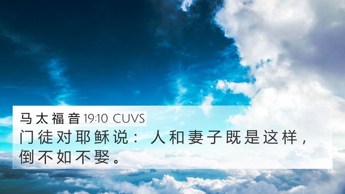 马 太 福 音 19:10 CUVS Bible Verse Image