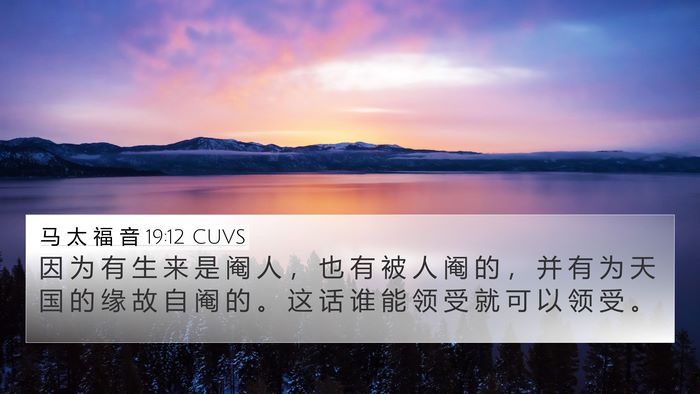马 太 福 音 19:12 CUVS Bible Verse Image