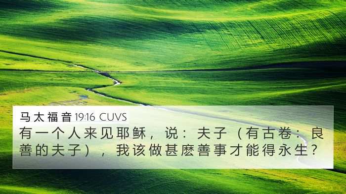 马 太 福 音 19:16 CUVS Bible Verse Image
