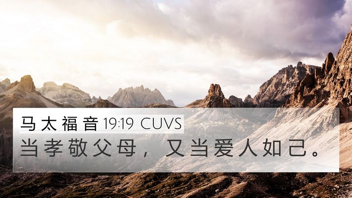 马 太 福 音 19:19 CUVS Bible Verse Image