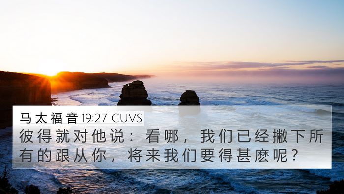 马 太 福 音 19:27 CUVS Bible Verse Image