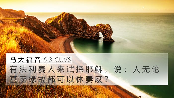 马 太 福 音 19:3 CUVS 4K Wallpaper - 有 法 利 赛 人 来 试 探 耶 稣 ， 说 - 4K Wallpaper Bible Verse