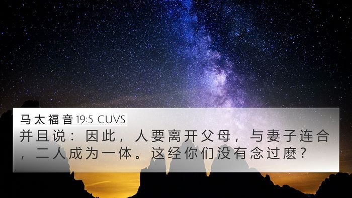 马 太 福 音 19:5 CUVS Bible Verse Image