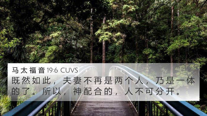 马 太 福 音 19:6 CUVS Bible Verse Image
