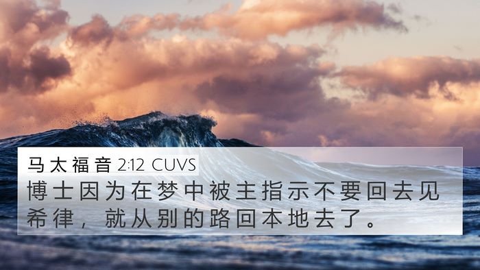 马 太 福 音 2:12 CUVS Bible Verse Image