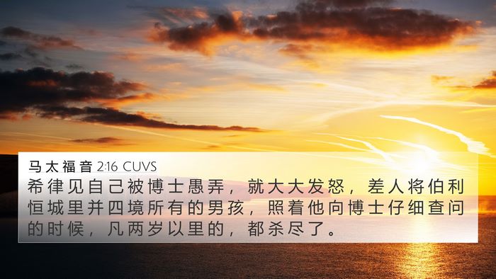 马 太 福 音 2:16 CUVS Bible Verse Image