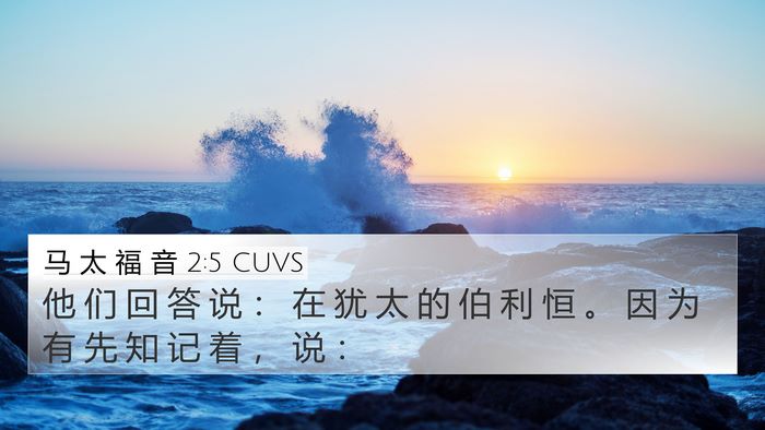 马 太 福 音 2:5 CUVS 4K Wallpaper - 他 们 回 答 说 ： 在 犹 太 的 伯 利 - 4K Wallpaper Bible Verse