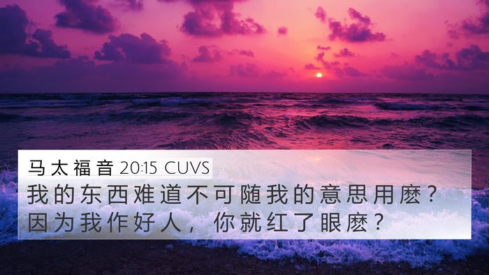 马 太 福 音 20:15 CUVS Bible Verse Image
