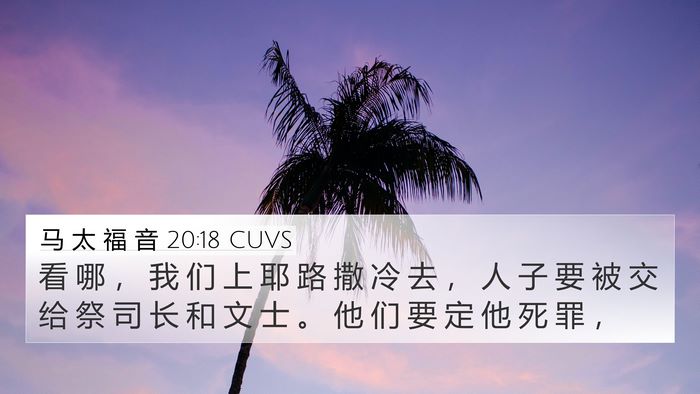 马 太 福 音 20:18 CUVS 4K Wallpaper - 看 哪 ， 我 们 上 耶 路 撒 冷 去 ， - 4K Wallpaper Bible Verse