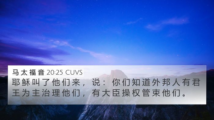 马 太 福 音 20:25 CUVS Bible Verse Image