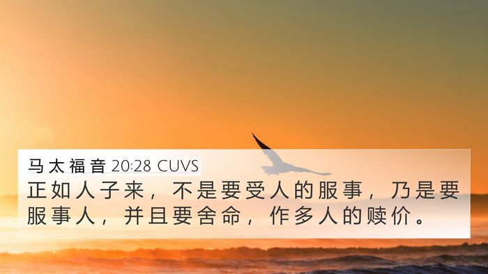 马 太 福 音 20:28 CUVS Bible Verse Image