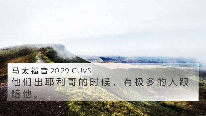 马 太 福 音 20:29 CUVS 4K Wallpaper - 他 们 出 耶 利 哥 的 时 候 ， 有 极 - 4K Wallpaper Bible Verse