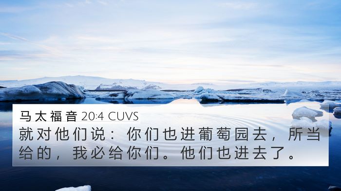 马 太 福 音 20:4 CUVS 4K Wallpaper - 就 对 他 们 说 ： 你 们 也 进 葡 萄 - 4K Wallpaper Bible Verse