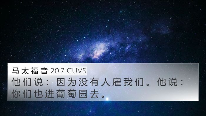 马 太 福 音 20:7 CUVS 4K Wallpaper - 他 们 说 ： 因 为 没 有 人 雇 我 们 - 4K Wallpaper Bible Verse