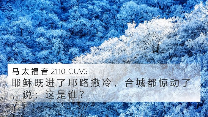 马 太 福 音 21:10 CUVS 4K Wallpaper - 耶 稣 既 进 了 耶 路 撒 冷 ， 合 城 - 4K Wallpaper Bible Verse