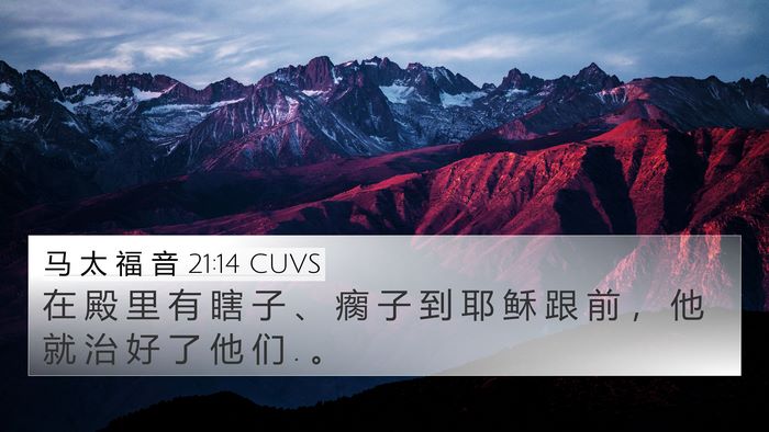 马 太 福 音 21:14 CUVS Bible Verse Image