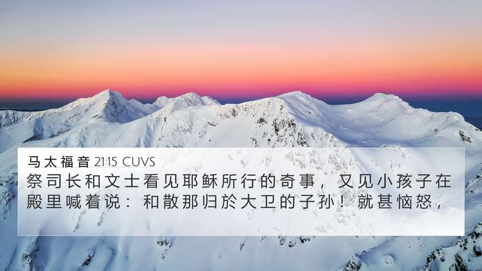 马 太 福 音 21:15 CUVS Bible Verse Image