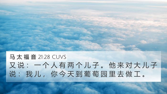 马 太 福 音 21:28 CUVS Bible Verse Image