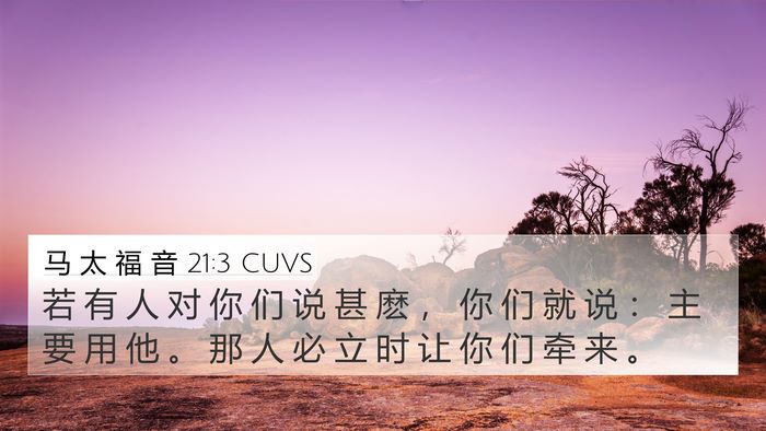 马 太 福 音 21:3 CUVS 4K Wallpaper - 若 有 人 对 你 们 说 甚 麽 ， 你 们 - 4K Wallpaper Bible Verse