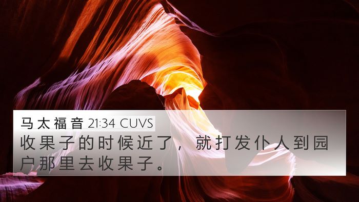 马 太 福 音 21:34 CUVS Bible Verse Image