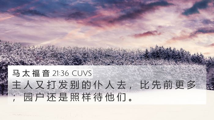 马 太 福 音 21:36 CUVS 4K Wallpaper - 主 人 又 打 发 别 的 仆 人 去 ， 比 - 4K Wallpaper Bible Verse