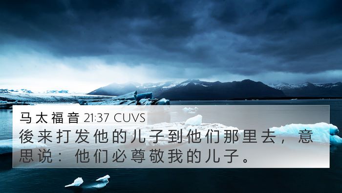 马 太 福 音 21:37 CUVS Bible Verse Image