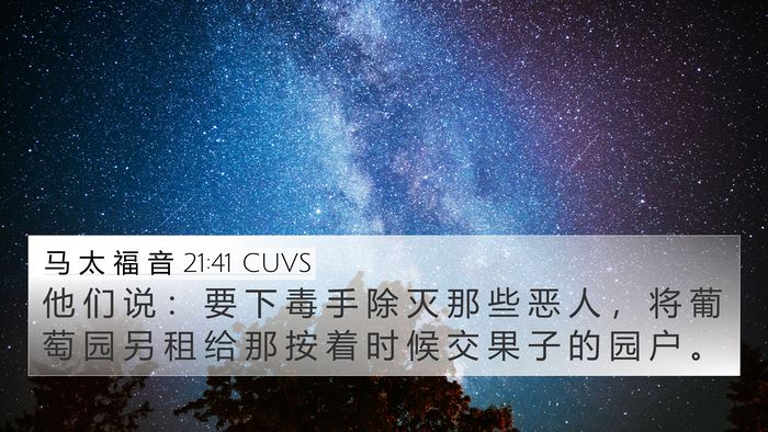 马 太 福 音 21:41 CUVS 4K Wallpaper - 他 们 说 ： 要 下 毒 手 除 灭 那 些 - 4K Wallpaper Bible Verse