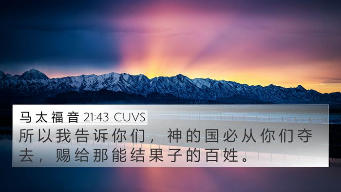 马 太 福 音 21:43 CUVS Bible Verse Image