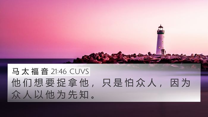 马 太 福 音 21:46 CUVS Bible Verse Image