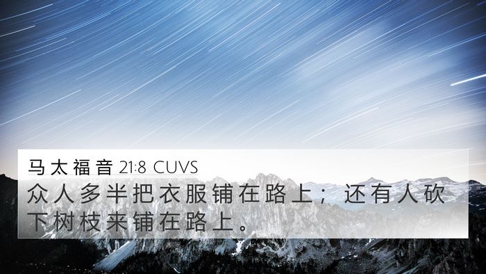 马 太 福 音 21:8 CUVS 4K Wallpaper - 众 人 多 半 把 衣 服 铺 在 路 上 ； - 4K Wallpaper Bible Verse