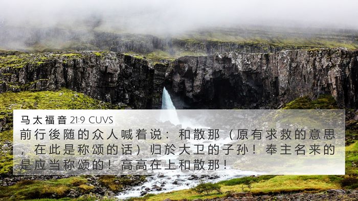 马 太 福 音 21:9 CUVS Bible Verse Image