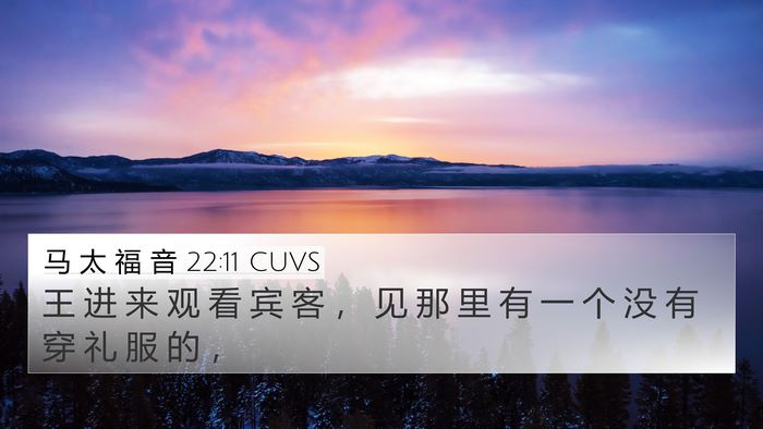 马 太 福 音 22:11 CUVS Bible Verse Image