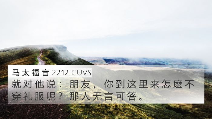 马 太 福 音 22:12 CUVS Bible Verse Image