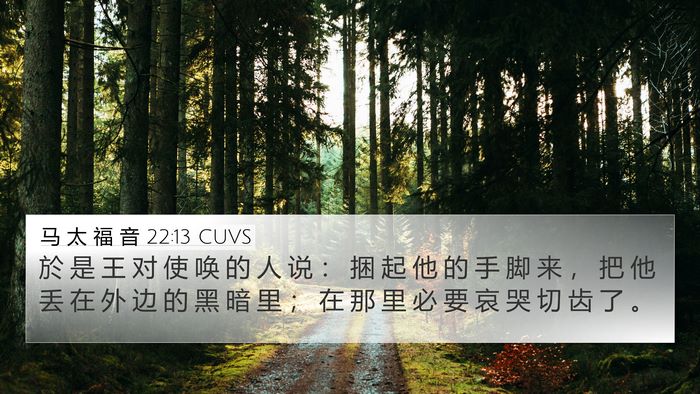 马 太 福 音 22:13 CUVS Bible Verse Image