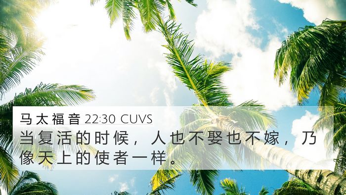 马 太 福 音 22:30 CUVS Bible Verse Image