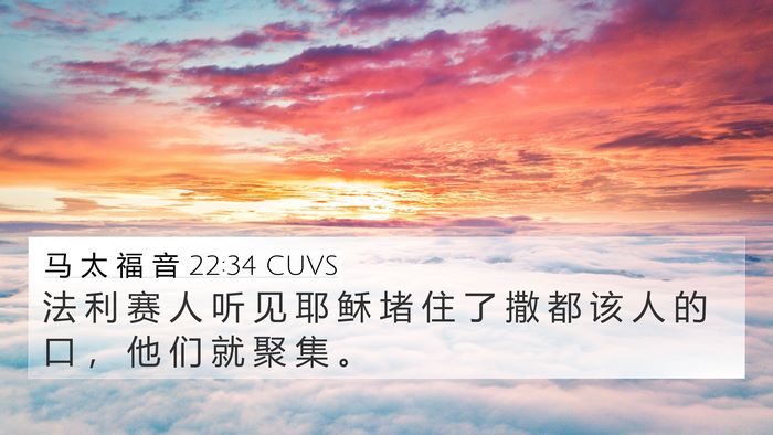 马 太 福 音 22:34 CUVS Bible Verse Image