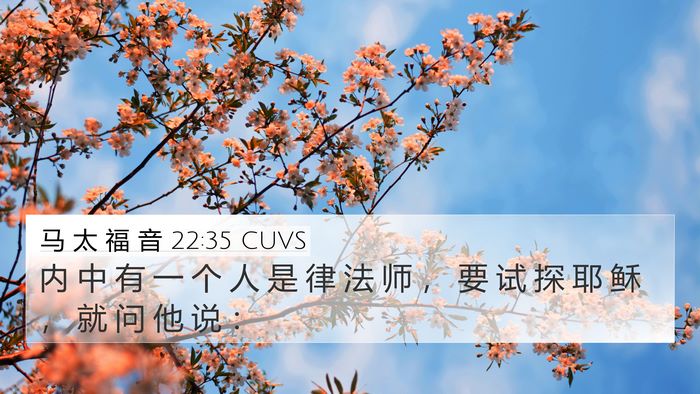 马 太 福 音 22:35 CUVS Bible Verse Image