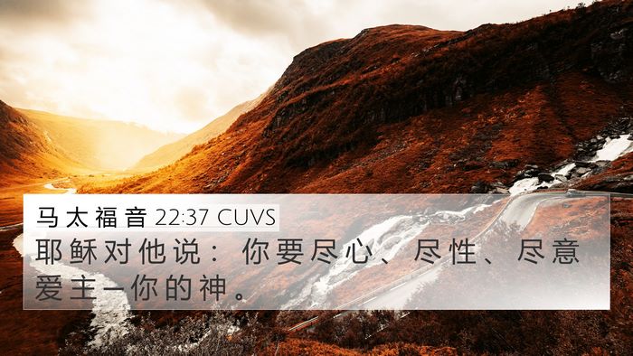 马 太 福 音 22:37 CUVS Bible Verse Image