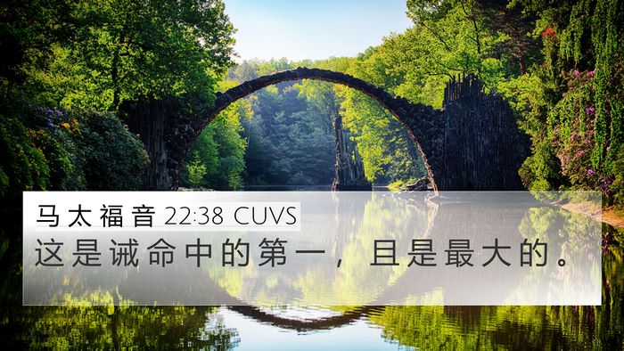 马 太 福 音 22:38 CUVS 4K Wallpaper - 这 是 诫 命 中 的 第 一 ， 且 是 最 - 4K Wallpaper Bible Verse