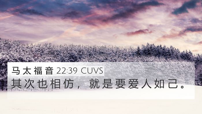 马 太 福 音 22:39 CUVS 4K Wallpaper - 其 次 也 相 仿 ， 就 是 要 爱 人 如 - 4K Wallpaper Bible Verse