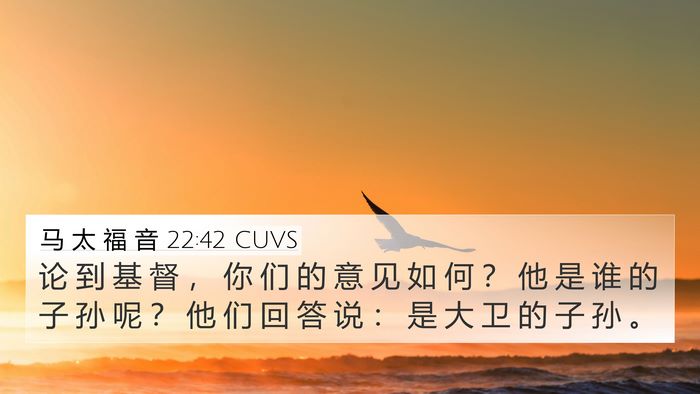 马 太 福 音 22:42 CUVS Bible Verse Image