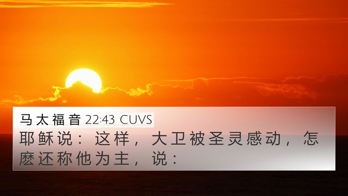 马 太 福 音 22:43 CUVS Bible Verse Image