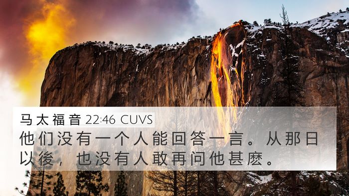 马 太 福 音 22:46 CUVS Bible Verse Image