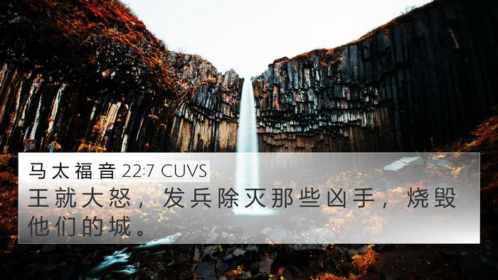 马 太 福 音 22:7 CUVS Bible Verse Image
